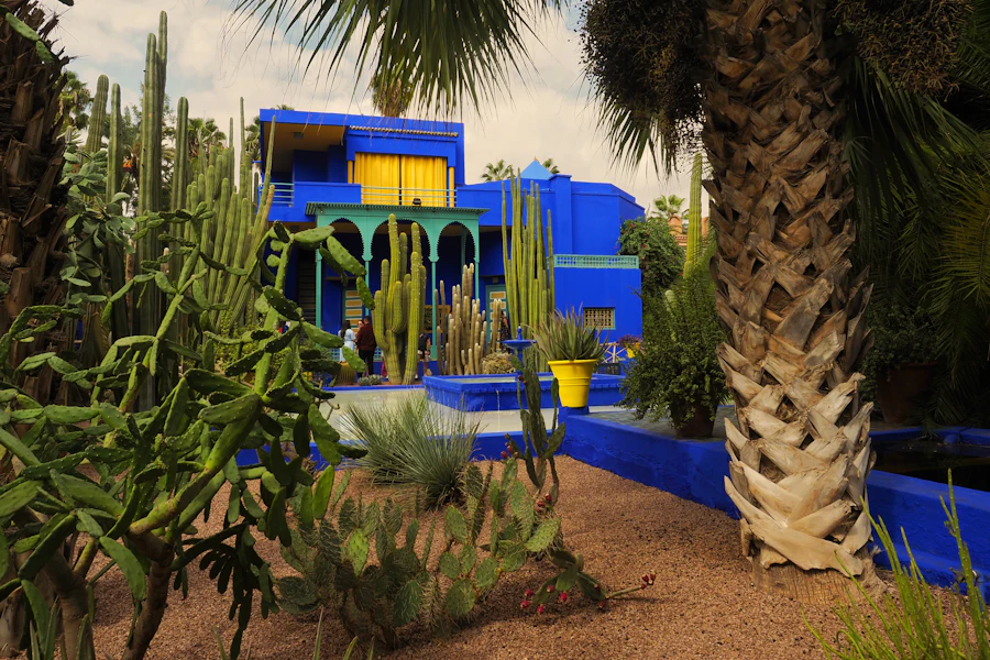 La villa bleue du jardin Majorelle entourée de cactus et de palmiers