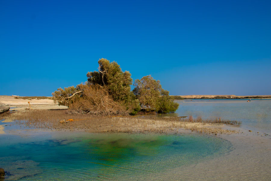 Un îlot de sable dans les eaux turquoise au sud de Marsa Alam