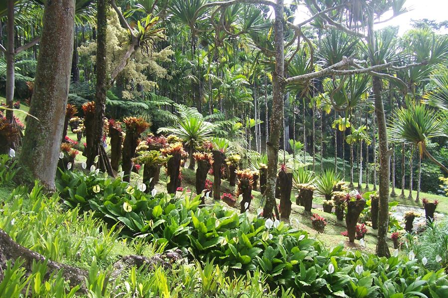 Les allées du jardin de Balata