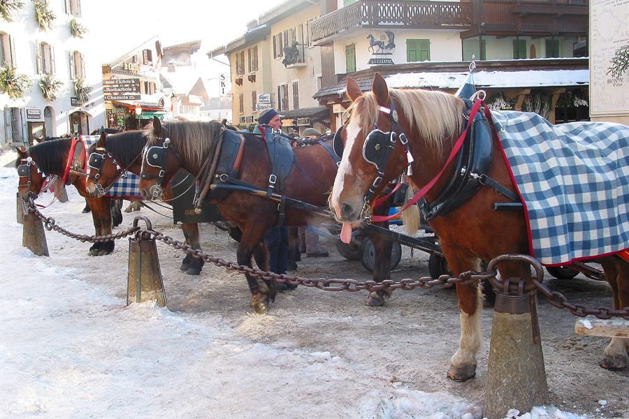 Les chevaux des calèches de Megève