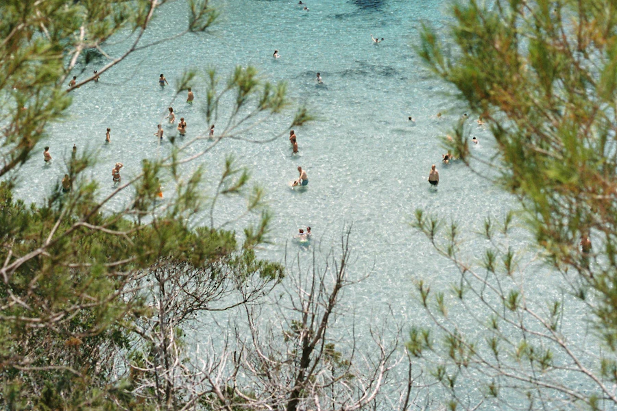 Pins et eau turquoise dans une crique du sud de Minorque