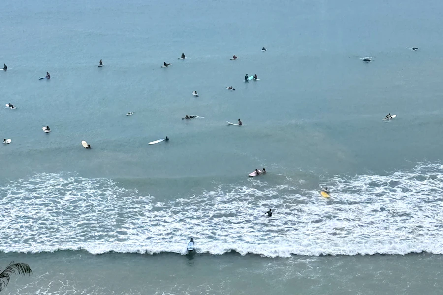 Des surfeurs dans les vagues de la baie de Weligama