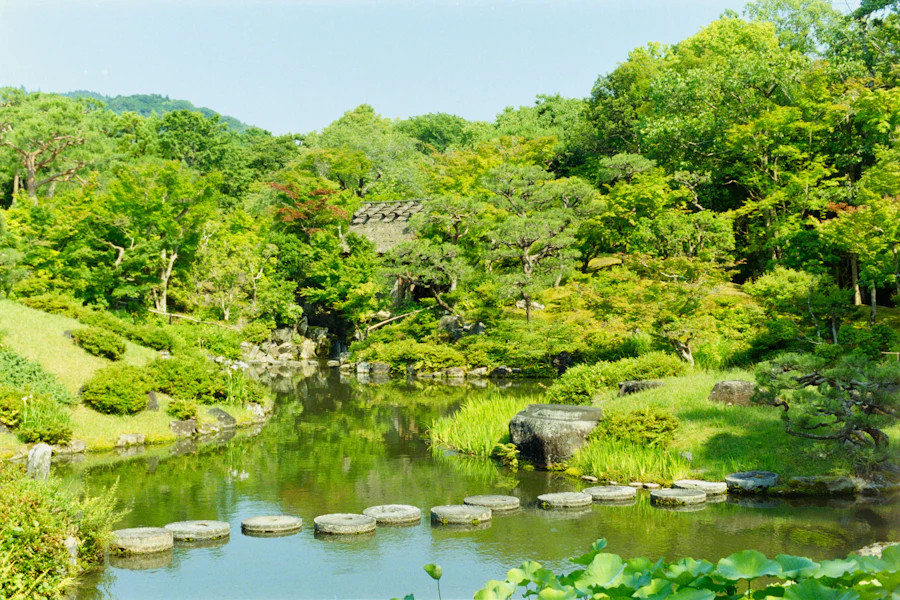 Un étang entouré de verdure dans le jardin Isuien
