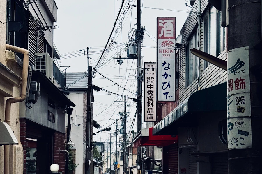 Une rue étroite du vieux Nara