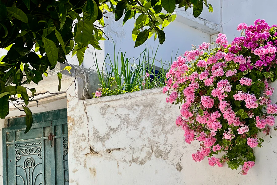 Une maison blanche à la porte bleue, à Halki