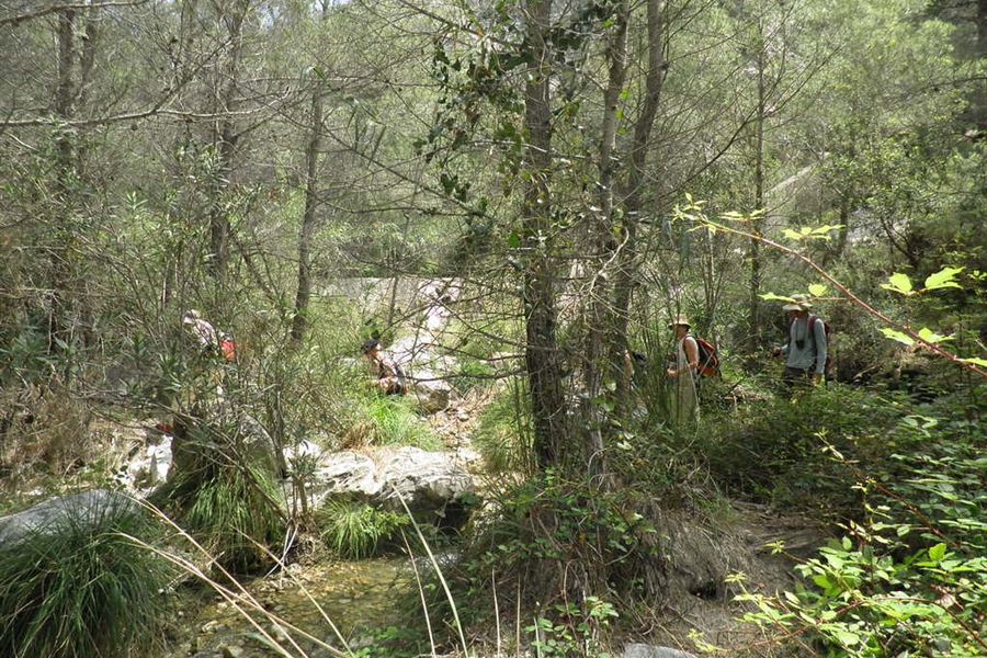 Le lit du río Chíllar