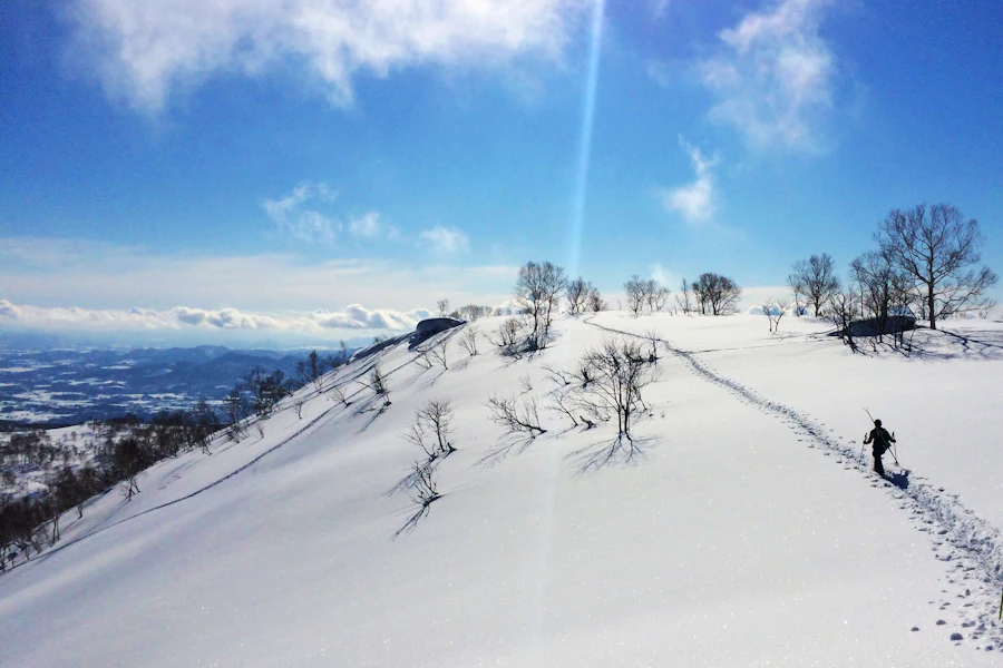 Un skieur dans la neige poudreuse de Niseko