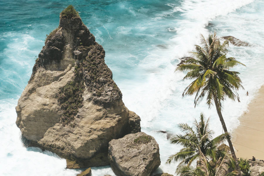 Le rocher pointu et les palmiers de Diamond Beach