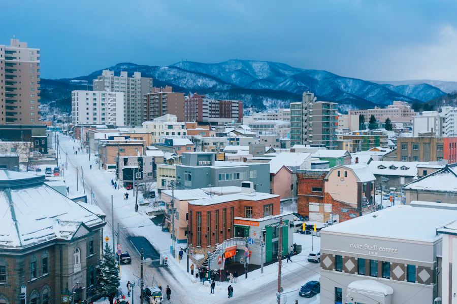 Otaru et sa baie sous la neige, vues des hauteurs