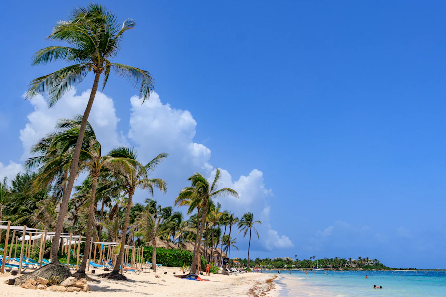 La plage d'Akumal et ses palmiers