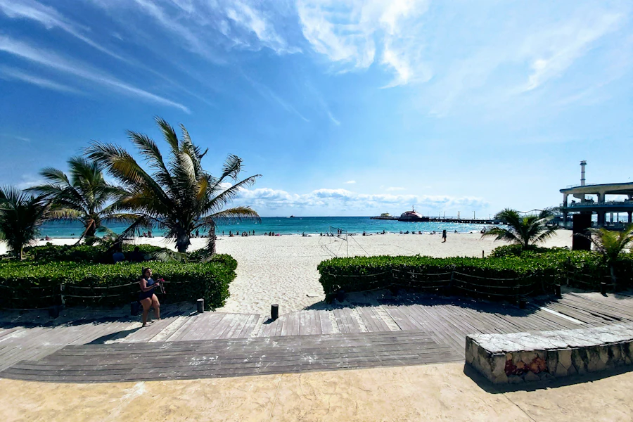 Palmiers sur le rivage de Playa del Carmen