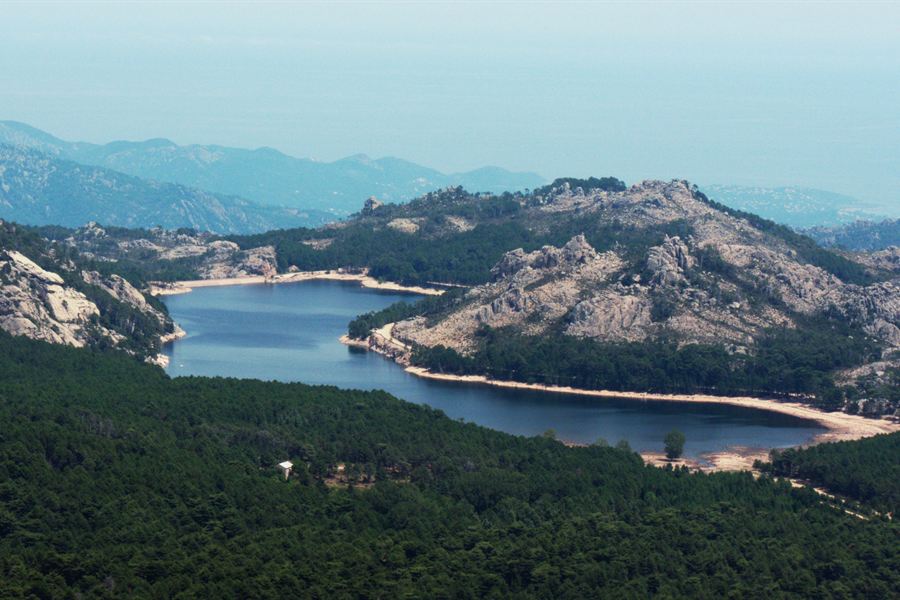 Le lac de l'Ospedale au milieu des pins