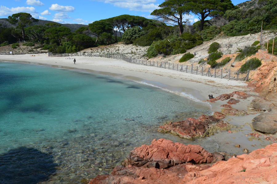 Le sable clair et les rochers rouges de Palombaggia