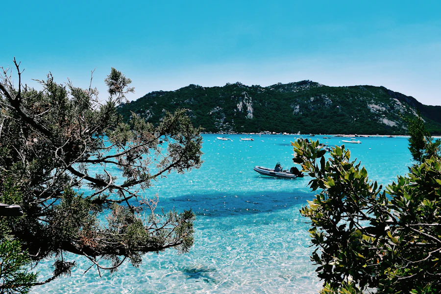 La baie de Santa Giulia entre les arbres