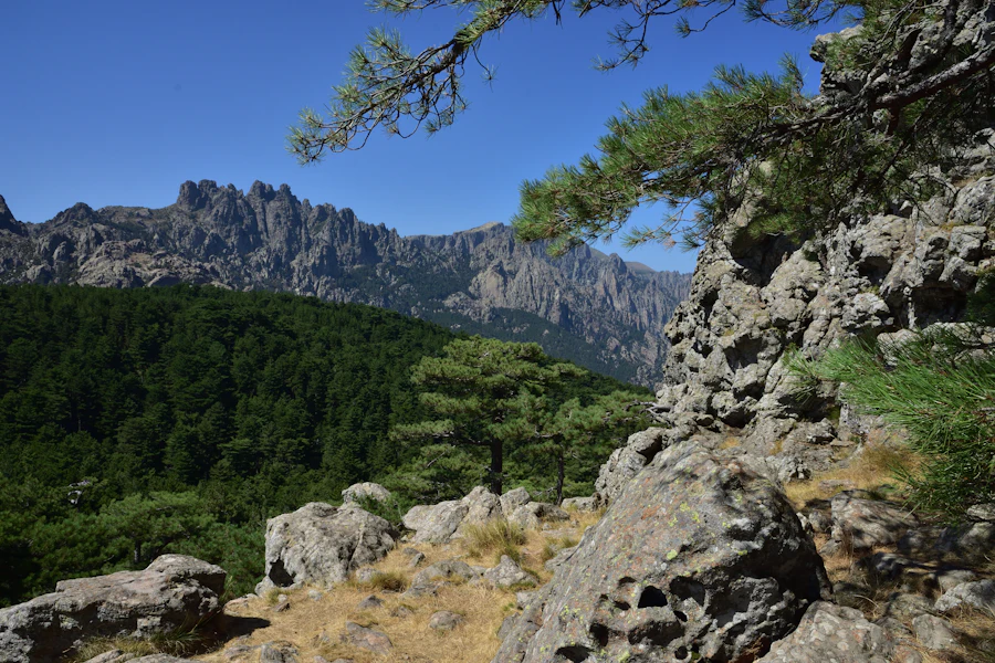 Pins et aiguilles de granit du col de Bavella