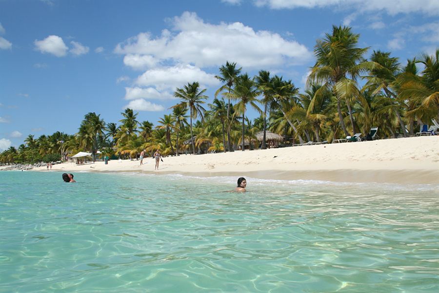 La plage de l'île Catalina