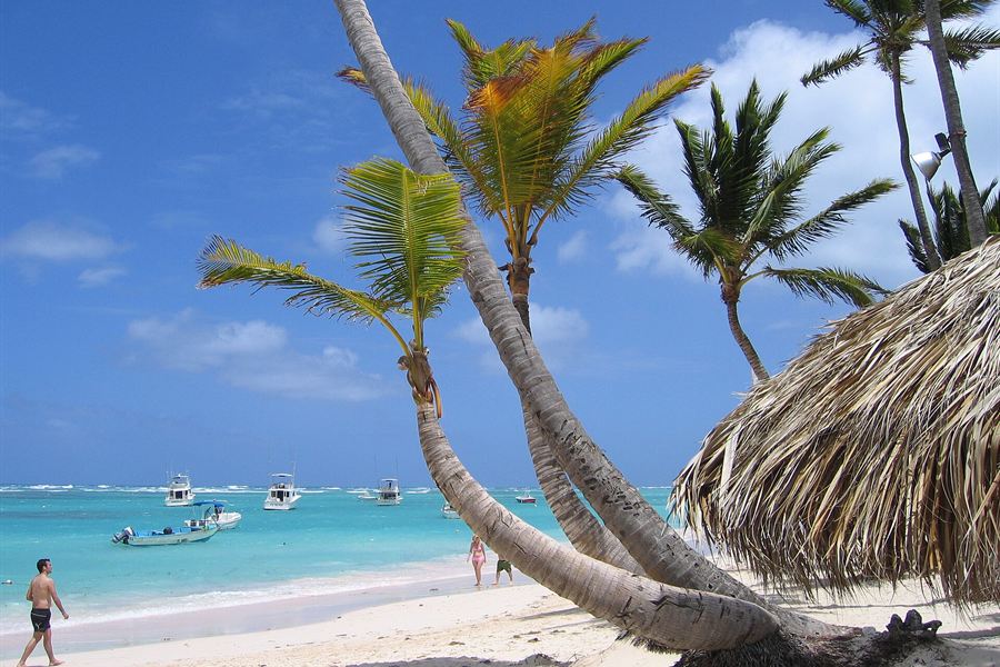 Cocotiers sur la plage de Bávaro