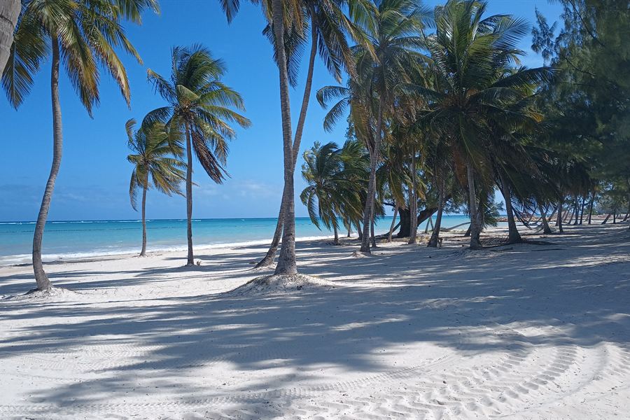 Une plage de Cap Cana
