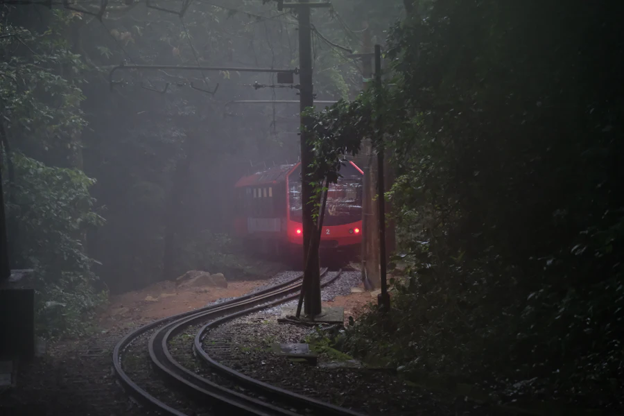 Le train du Corcovado dans la forêt de Tijuca, dans la brume