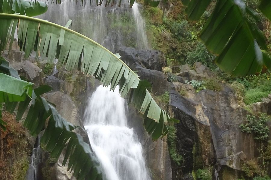 La cascade du bassin des Aigrettes