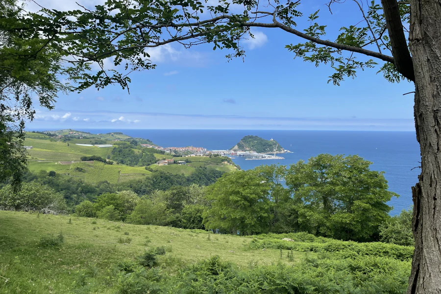 La côte verdoyante autour de Getaria