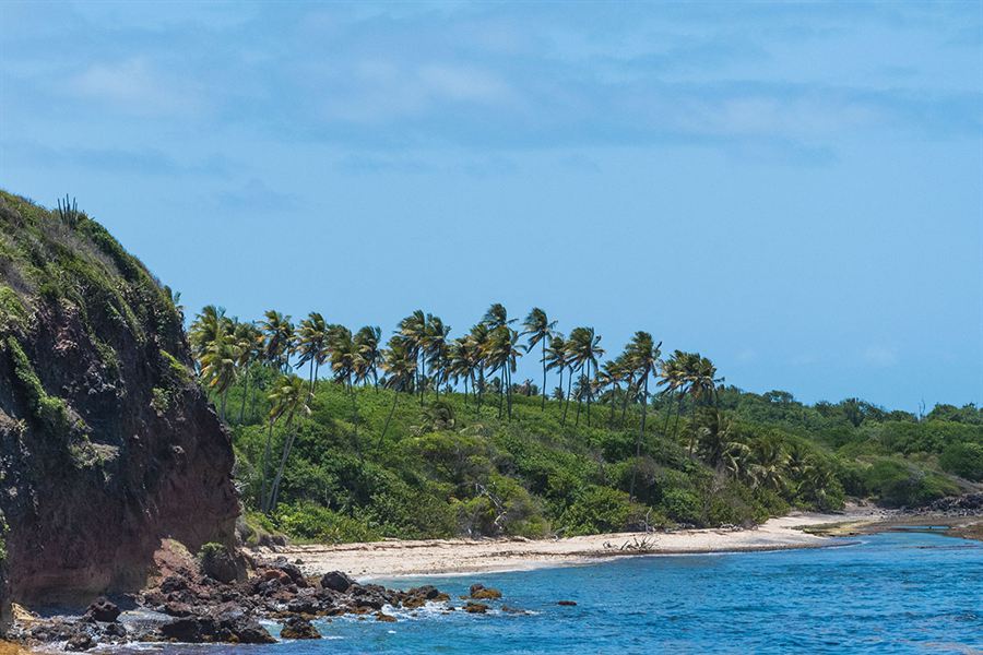La côte sud de la Martinique sur la trace des caps