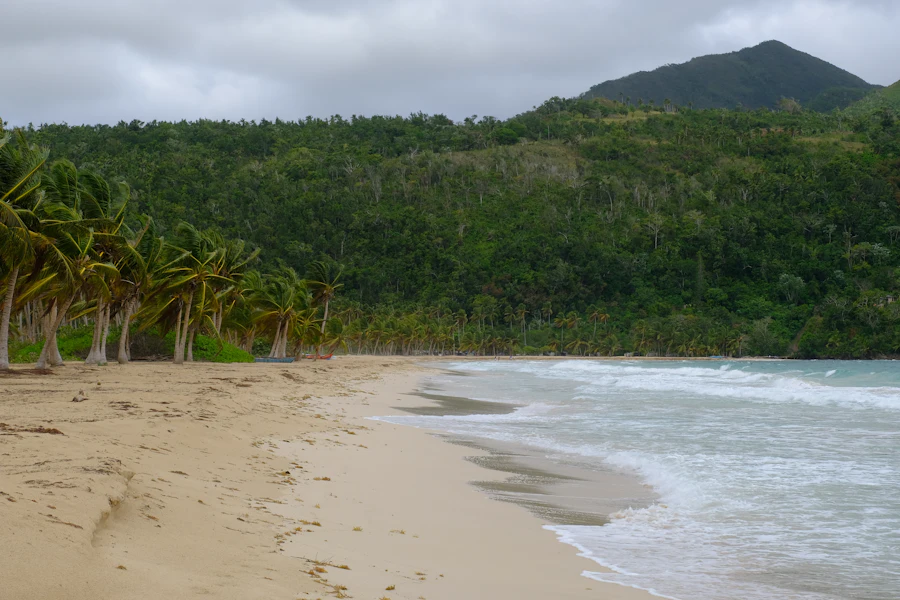 Une plage de sable bordée de cocotiers sur la péninsule de Samaná
