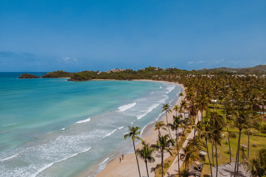 La plage de Las Terrenas et ses cocotiers vus du ciel