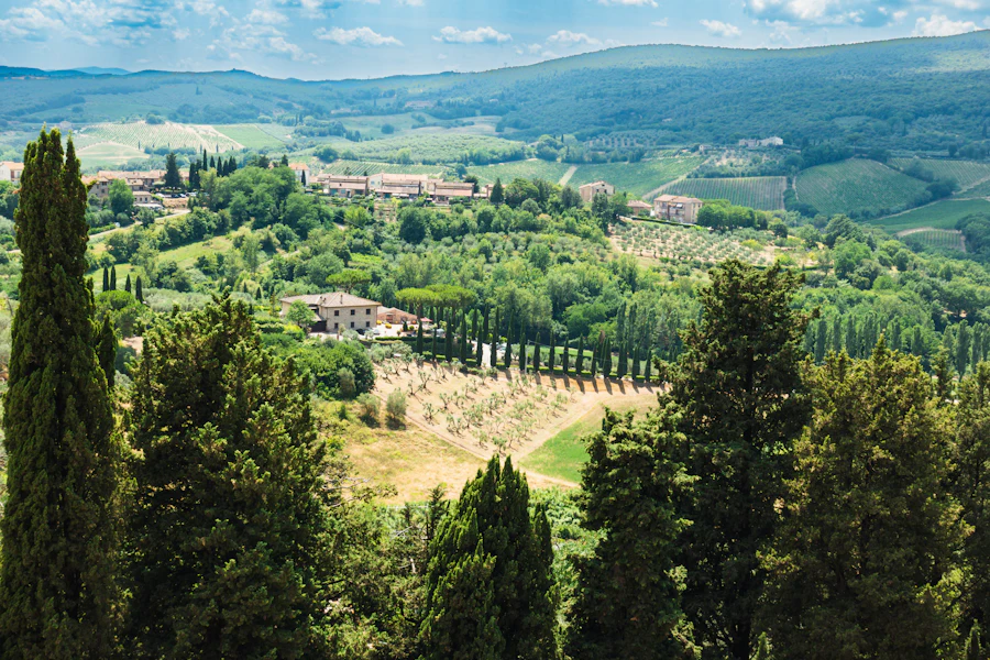 Les collines verdoyantes du val d'Orcia près de Pienza