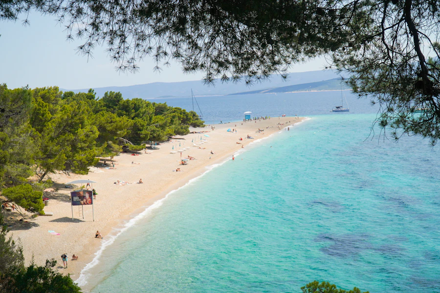 Une plage de galets bordée de pins sur la côte dalmate