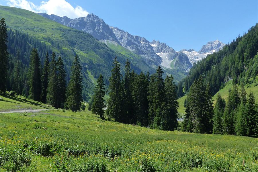 La Valluga vue de la Bodenalpe
