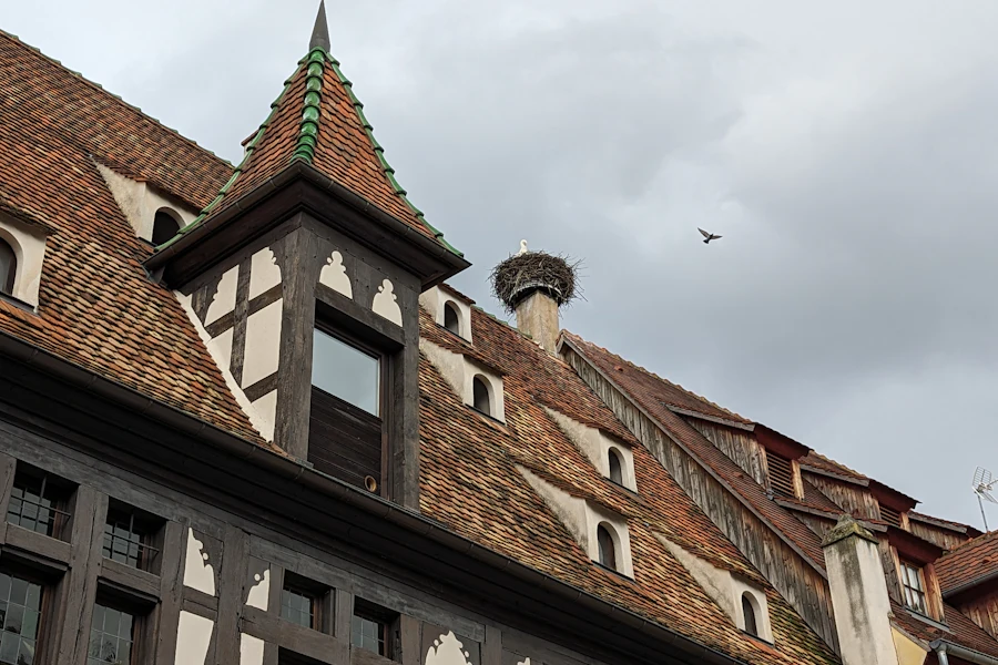 Un nid de cigogne sur un toit d'Obernai