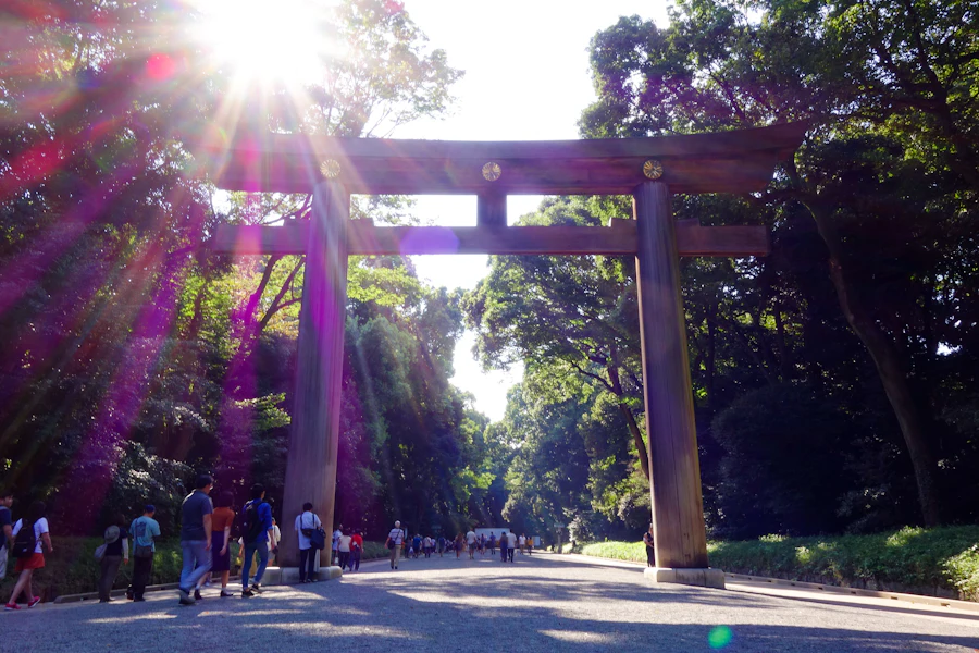 Le grand torii de bois du sanctuaire Meiji, dans la forêt