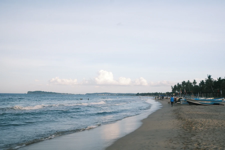 Une plage de Trincomalee bordée de palmiers