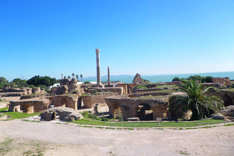 Les ruines de Carthage entre les palmiers, face à la mer