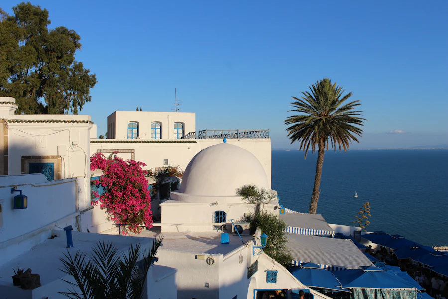 Les maisons blanches et bleues de Sidi Bou Saïd au-dessus de la mer