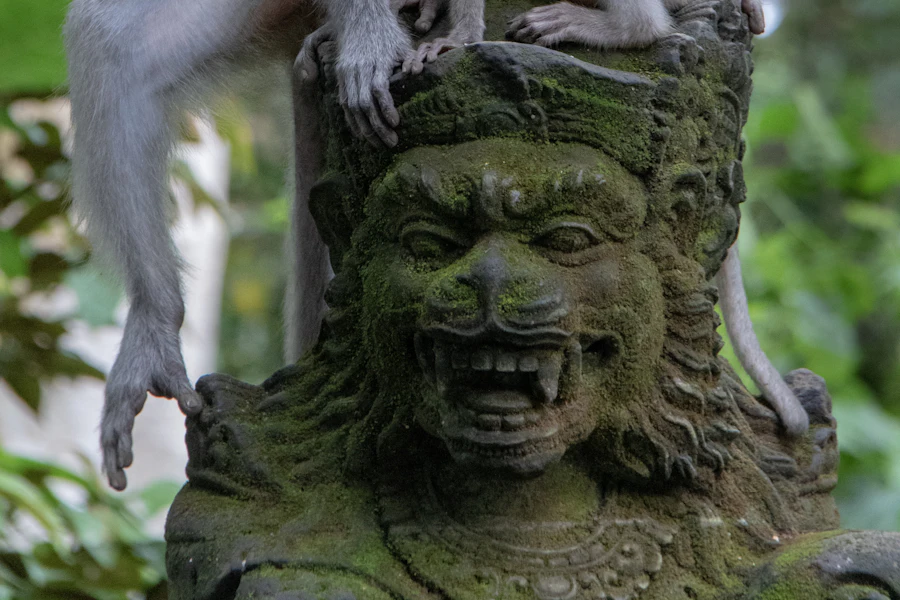 Deux macaques dans la forêt des singes d'Ubud