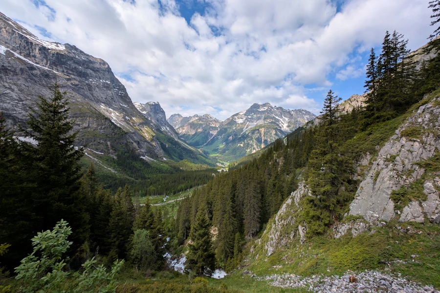 Une vallée verdoyante du parc national de la Vanoise en été