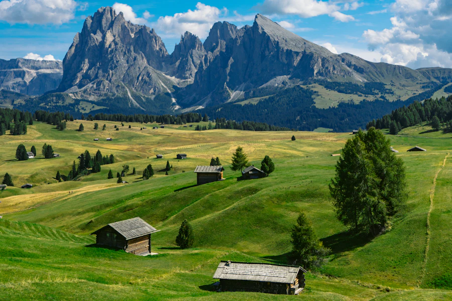 Les prairies de l'alpage de Seiser Alm face aux Dolomites